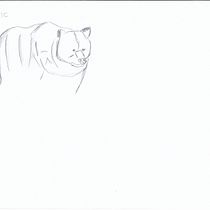 Il mio progetto del corso: Illustrazioni vivaci di animali per libri d'infanzia. Character Design, Pencil Drawing, Drawing, and Children's Illustration project by Raffaella Tincani - 07.22.2022