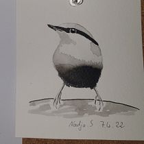 Mein Kursprojekt: Illustriere Vögel mit expressiven Aquarelltechniken. Traditional illustration, Watercolor Painting, Realistic Drawing, and Naturalistic Illustration project by Nadja Specht - 07.22.2022
