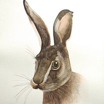 Mi proyecto del curso: Técnicas experimentales de acuarela para principiantes. Un progetto di Illustrazione tradizionale, Belle arti, Pittura ad acquerello e Illustrazione naturalistica di Benjamin Garcia - 24.07.2022
