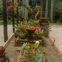 Jardín estacionamiento . Spatial Design, L, scape Architecture, Floral, and Plant Design project by mymemilia - 07.23.2022