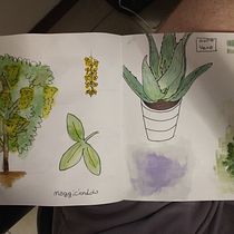Il mio progetto del corso: Disegno per principianti livello -1. Pencil Drawing, Drawing, Creating with Kids, and Sketchbook project by davide_boccia_db - 07.25.2022