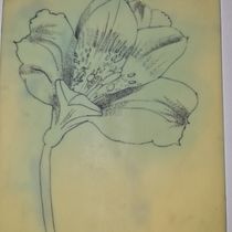 Mi proyecto del curso: Tatuaje para principiantes jaroxgram. Tattoo Design, Design, Education, Shoe Design, Street Art, Sketching, Digital Design, and Botanical Illustration project by José Ramírez - 07.25.2022