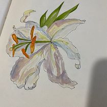 My project for course: Botanical Sketchbooking: A Meditative Approach. Ilustração tradicional, Esboçado, Desenho, Pintura em aquarela, Ilustração botânica, e Sketchbook projeto de urquhartvicki3 - 25.07.2022