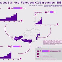 My project for course: Data Visualization and Information Design: Create a Visual Model. Un proyecto de Diseño de la información, Diseño interactivo e Infografía de mgli - 26.07.2022
