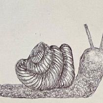 Rheba's Project for course: Sketchbook Illustration with Pen: Embracing Mistakes. Sketching, Drawing, Sketchbook & Ink Illustration project by Rheba - 07.28.2022