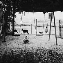 Kids Strolls. Un projet de Photographie, Photographie extérieure, Photographie documentaire, Photographie lifest , et le de Shaul Zorea - 29.07.2022