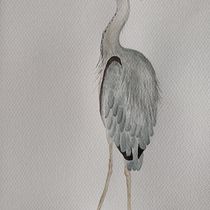 Il mio progetto del corso: Illustrazione naturalistica di uccelli con acquerello. Ilustração tradicional, Pintura em aquarela, Desenho realista e Ilustração naturalista projeto de silvia crippa - 29.07.2022