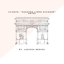 Mi proyecto del curso: Desarrollo de un plan de medios digitales. Un progetto di Pubblicità, Social media, Marketing digitale, Marketing per Facebook e Growth Marketing di Larissa Brocel - 29.07.2022