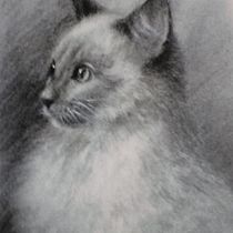 Ilustraciones de gatos.. Traditional illustration, Portfolio Development, Management, and Productivit project by Oscar Cerrato Vidal - 08.02.2022