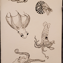 My project for course: Creative Drawing Techniques for Beginners. Design, Traditional illustration, Pencil Drawing, and Drawing project by Sarah Mayo - 01.05.2023