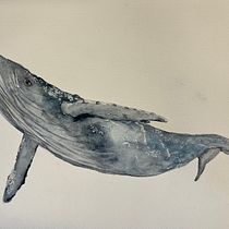My project for course: Naturalist Illustration Techniques: Whales in Watercolor. Un progetto di Illustrazione tradizionale, Design di poster , Illustrazione digitale e Manga di Deborah - 01.08.2022