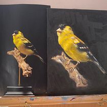 My project for course: Classical Oil Painting for Naturalist Bird Portraiture. Fine Arts, Painting, Oil Painting, and Naturalistic Illustration project by nvlawlor - 08.02.2022