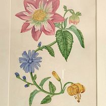 Mi proyecto del curso: Acuarela realista para composiciones botánicas. Un projet de Illustration traditionnelle, Peinture, Dessin, Aquarelle et Illustration botanique de Desirée Lara - 03.08.2022