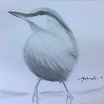 Mi proyecto del curso: Acuarela artística para ilustración de aves. Traditional illustration, Watercolor Painting, Realistic Drawing, and Naturalistic Illustration project by Gabriela D’ Franco - 08.01.2022