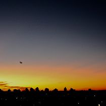 Atardecer en el parque. Un proyecto de Fotografía y Fotografía digital de Silvina Errezarret - 05.08.2022