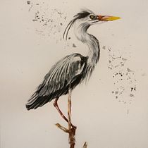 My project for course: Naturalist Bird Illustration with Watercolors. Ilustração tradicional, Pintura em aquarela, Desenho realista e Ilustração naturalista projeto de lena.tsch - 04.08.2022