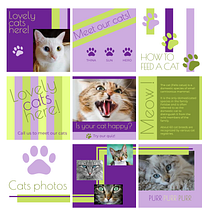 Il mio progetto del corso: Graphic design per principianti. Un progetto di Design, Br, ing, Br, identit, Graphic design, Tipografia, Design di loghi e Design tipografico di alessandra_sgarzi - 07.08.2022