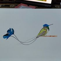 Picaflor cola de espátula. Ilustração tradicional, Pintura em aquarela, Desenho realista e Ilustração naturalista projeto de Jorge Grandón Cuevas - 08.08.2022