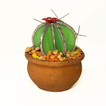Mi proyecto del curso: Fotografía de producto para principiantes. Photograph, Product Photograph, Photographic Lighting, Digital Photograph, and Food Photograph project by Pablo Churruarín - 08.08.2022