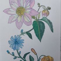 My project for course: Realistic Watercolor for Botanical Compositions. Un projet de Illustration traditionnelle, Peinture, Dessin, Aquarelle et Illustration botanique de Madalina Mihai - 09.08.2022