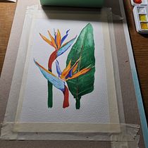 Mein Kursprojekt: Botanisches Aquarell: illustriere die Anatomie der Blumen. Un progetto di Illustrazione tradizionale, Belle arti, Pittura, Disegno, Pittura ad acquerello e Illustrazione botanica di sabrina.dragons - 07.08.2022