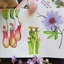 Mon projet du cours : Carnet naturaliste à l'aquarelle. Traditional illustration, Watercolor Painting, Botanical Illustration, Sketchbook, and Naturalistic Illustration project by jevana - 08.09.2022
