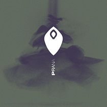 "Prana" Yoga studio's brand identity. Un projet de Direction artistique, Br, ing et identité, Design graphique , et Création de logos de bagore - 10.08.2022
