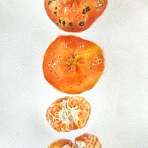 My project for course: Botanical Watercolor: Illustrating Art and Science. Un progetto di Illustrazione tradizionale, Belle arti, Pittura, Disegno, Pittura ad acquerello e Illustrazione botanica di Roberta - 11.08.2022