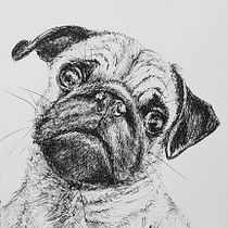 My project for course: Naturalist Illustration with Ballpoint Pen . Traditional illustration, Drawing, Realistic Drawing, and Naturalistic Illustration project by tamarch1312 - 08.11.2022