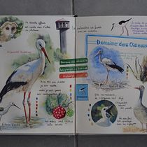 Mon projet du cours : Carnet de voyage illustré avec des techniques mixtes. Un proyecto de Dibujo, Pintura a la acuarela, Sketchbook y Dibujo con lápices de colores de Patricia PICCO - 12.08.2022