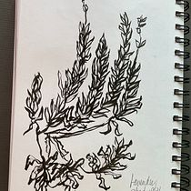 My project for course: Daily Sketching for Creative Inspiration. Traditional illustration, Sketching, Creativit, Drawing, and Sketchbook project by Joan Borgman - 10.07.2022