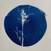 My project for course: Cyanotype: Printing with Light. Un projet de Artisanat, Beaux Arts, Estampe, DIY , et Photographie argentique de Heidi Semetier - 14.08.2022