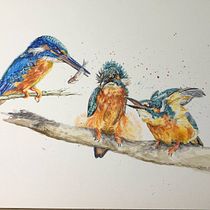 My project for course: Artistic Watercolor Techniques for Illustrating Birds. Traditional illustration, Watercolor Painting, Realistic Drawing, and Naturalistic Illustration project by Julie Gorringe - 08.15.2022
