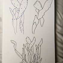 Kaveri's project for course: Botanical Sketchbooking: A Meditative Approach. Ilustração tradicional, Esboçado, Desenho, Pintura em aquarela, Ilustração botânica, e Sketchbook projeto de Kaveri Mehrotra - 15.08.2022