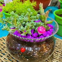 Mi proyecto del curso: Arte vegetal: crea tu propio terrario abierto. Interior Design, L, scape Architecture, Decoration, DIY, Floral, and Plant Design project by marce.orrego.e - 08.15.2022