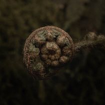 Mi proyecto del curso: Fotografía de paisaje y naturaleza. Photograph, Outdoor Photograph, Instagram Photograph, Documentar, Photograph, and Photographic Composition project by Espe - 08.15.2022