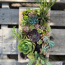 My project for course: Design and Creation of Botanical Compositions. Een project van Interieurontwerp, L, scaping,  Interieurdecoratie, DIY y Bloem- en plantenschikken van Irina Chernyak Chillè - 16.08.2022