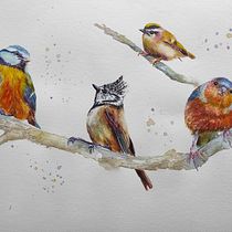 My project for course: Artistic Watercolor Techniques for Illustrating Birds. Projekt z dziedziny Trad, c, jna ilustracja, Malowanie akwarelą, R, sunek realist, czn, Ilustracja naturalist i czna użytkownika Ingrid Fürhacker - 17.08.2022