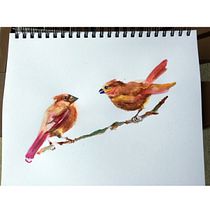 My project for course: Artistic Watercolor Techniques for Illustrating Birds. Projekt z dziedziny Trad, c, jna ilustracja, Malowanie akwarelą, R, sunek realist, czn, Ilustracja naturalist i czna użytkownika nancyaustin192 - 18.08.2022