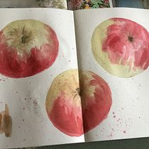 My project for course: Illustrating Nature: A Creative Exploration. Un projet de Illustration traditionnelle, Peinture, Dessin, Aquarelle, Illustration à l'encre et Illustration naturaliste de marian_latchman - 19.08.2022