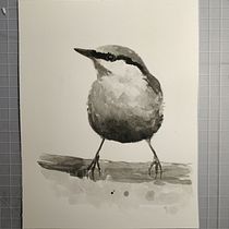 My project for course: Artistic Watercolor Techniques for Illustrating Birds. Projekt z dziedziny Trad, c, jna ilustracja, Malowanie akwarelą, R, sunek realist, czn, Ilustracja naturalist i czna użytkownika barbarazanelli - 13.08.2022