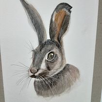 Mi proyecto del curso: Técnicas experimentales de acuarela para principiantes. Un progetto di Illustrazione tradizionale, Belle arti, Pittura ad acquerello e Illustrazione naturalistica di Martha Ortiz - 23.08.2022