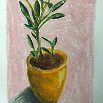 vaso de planta. Traditional illustration, Fine Arts, Pencil Drawing, and Drawing project by brunegr - 08.23.2022