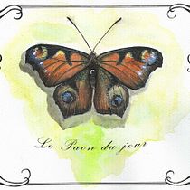 Mon projet du cours : Illustration botanique à l’aquarelle. Traditional illustration, Fine Arts, Painting, Drawing, Watercolor Painting, and Botanical Illustration project by adelinedurand66 - 08.23.2022