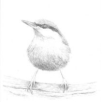 Mon projet du cours : Techniques artistiques d'aquarelle pour illustrer les oiseaux. Traditional illustration, Watercolor Painting, Realistic Drawing, and Naturalistic Illustration project by Nathalie PRADAL - 08.24.2022