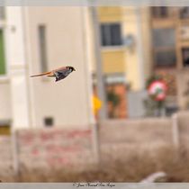 Viaje a los ojos de un ave. Photograph, Outdoor Photograph, Instagram Photograph, Documentar, Photograph, and Photographic Composition project by Juan Manuel - 08.24.2022
