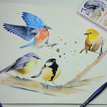 My project for course: Artistic Watercolor Techniques for Illustrating Birds. Projekt z dziedziny Trad, c, jna ilustracja, Malowanie akwarelą, R, sunek realist, czn, Ilustracja naturalist i czna użytkownika Melissa Van Dam - 26.08.2022