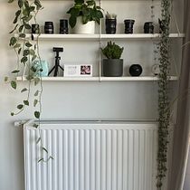 My project for course: Home Styling and Decoration with Plants. Interactive Design, Decoration, Interior Decoration, DIY, Floral, Plant Design, and Spatial Design project by ulianaprotsak - 08.26.2022