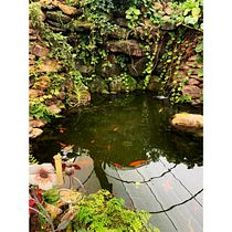Meu projeto do curso: Fotografia de paisagem e natureza. Photograph, Outdoor Photograph, Instagram Photograph, Documentar, Photograph, and Photographic Composition project by olharfotograficors - 08.27.2022