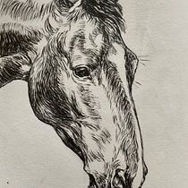 My project for course: Daily Sketching for Creative Inspiration. Traditional illustration, Sketching, Creativit, Drawing, and Sketchbook project by sophiewalla14 - 08.27.2022